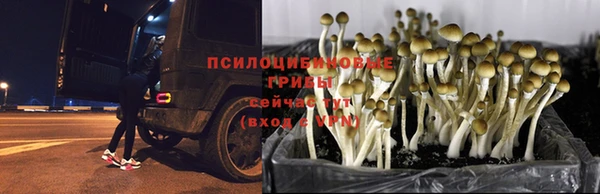 мефедрон VHQ Верхний Тагил