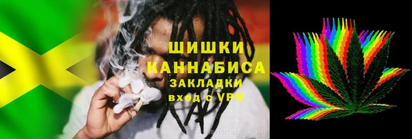 гидропоника Бородино