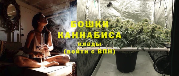 гидропоника Бородино
